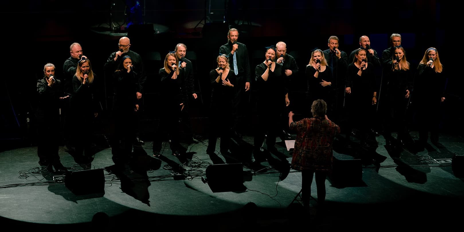 Terrablue Voices