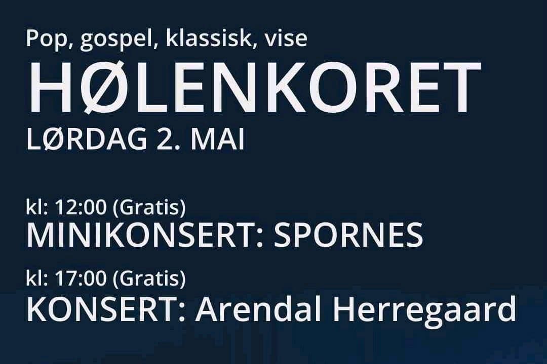 Konsert - Opptreden på Spornes (Tromøya)