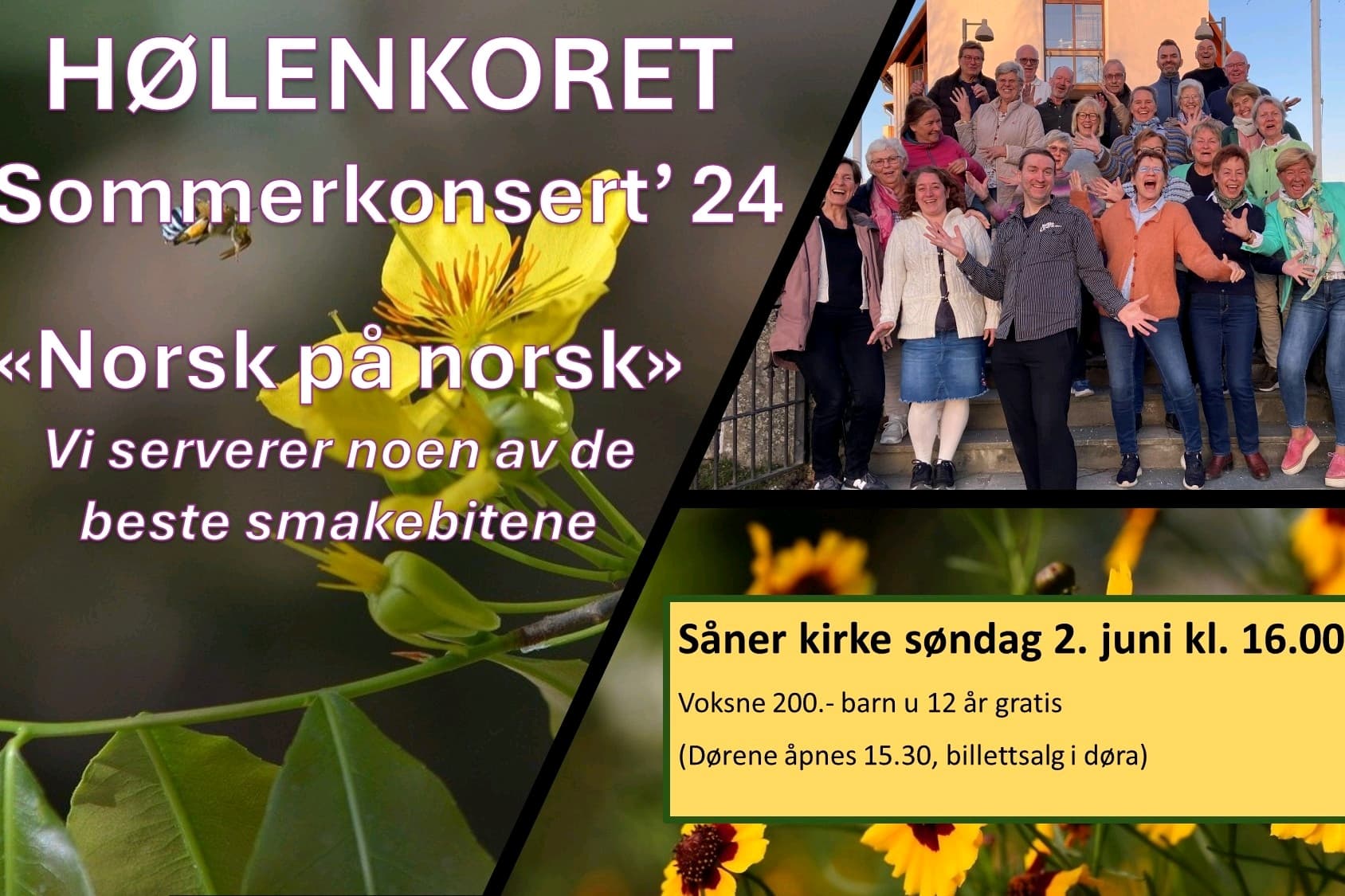Konsert - Norsk på norsk - en forsommerkonsert!