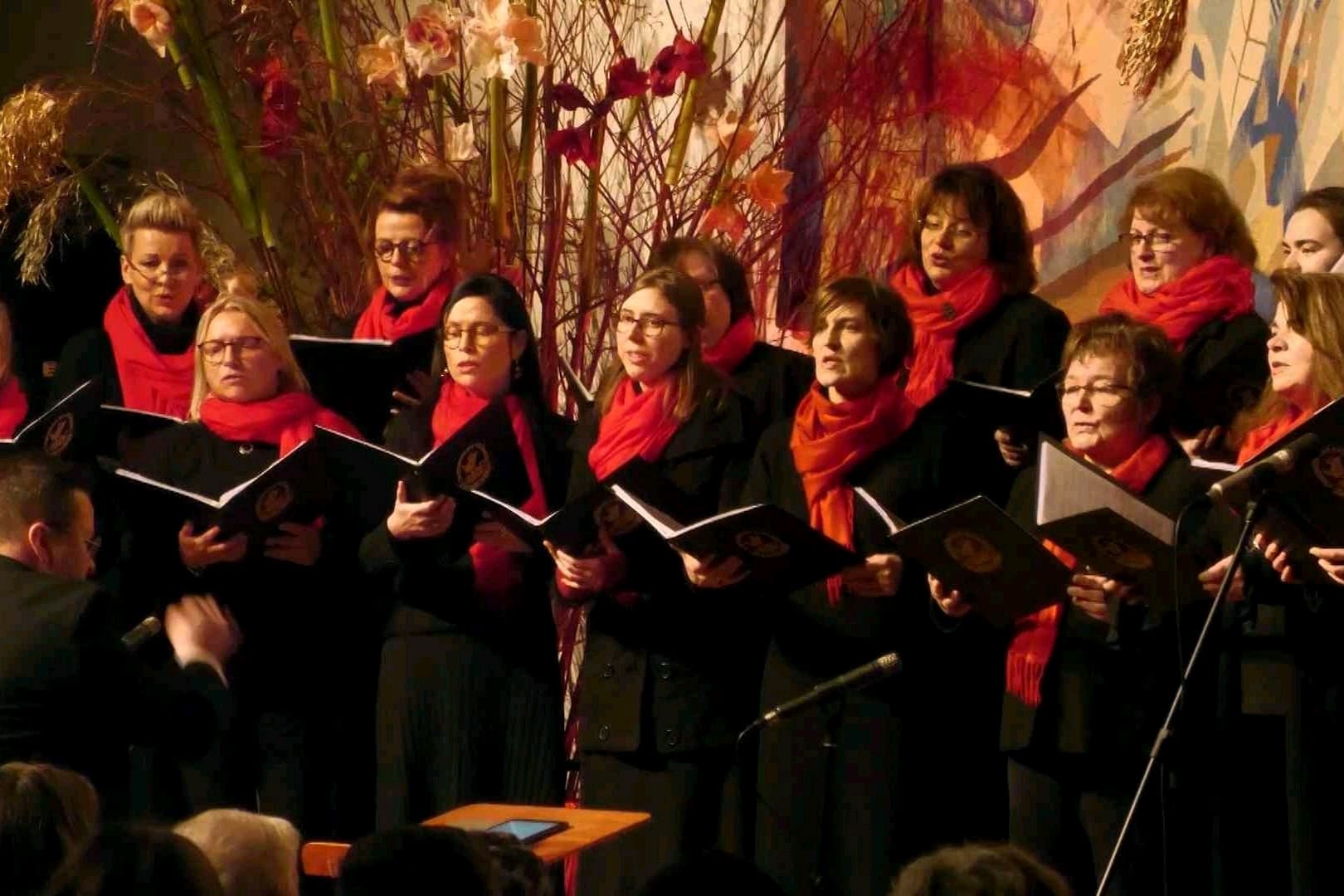 Konzert - Weihnachtskonzert Zaunkönige in der Marienkirche in Salzwedel
